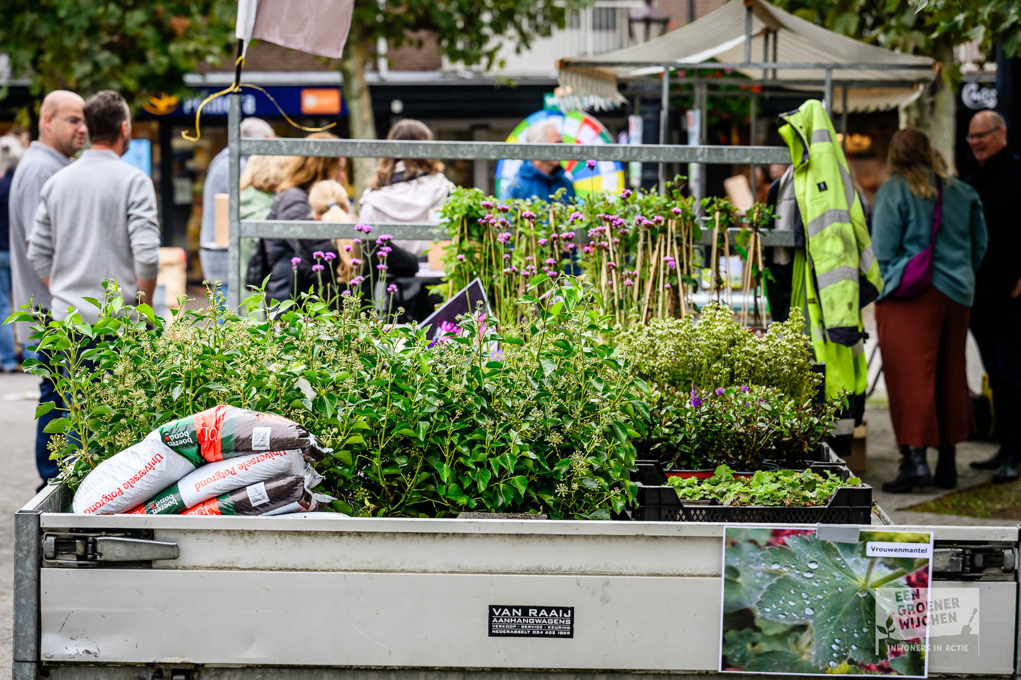 Groenmarkt Wijchen uitdelen planten, bloemen en potgrond