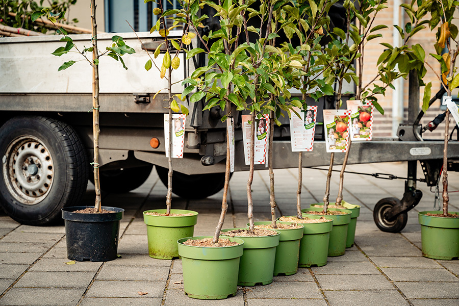 Doe mee aan ‘Gemeente Wijchen in het Groen’